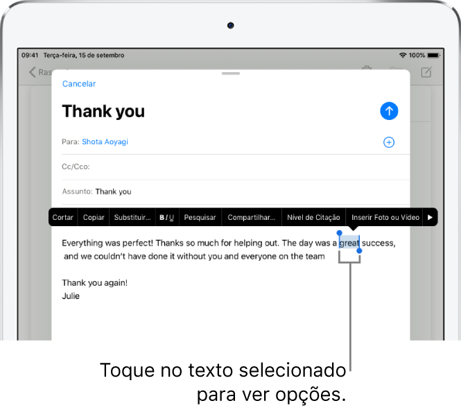 Uma amostra de mensagem de e-mail com parte do texto selecionada. Acima da seleção encontram-se os botões Cortar, Copiar, Colar e Substituir. O texto selecionado está destacado, com puxadores em cada extremidade.