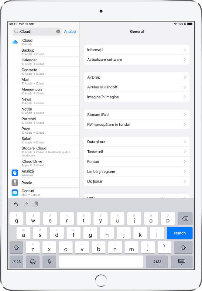 Ecranul configurărilor de căutare în partea de sus. Termenul de căutare “iCloud” este în câmpul de căutare și configurările găsite se află în lista de mai jos.