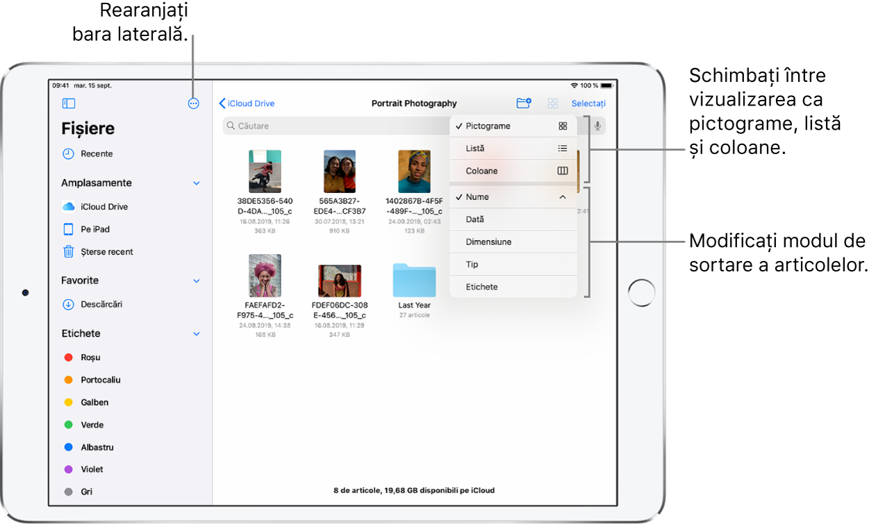 Un amplasament iCloud Drive cu butoane pentru rearanjarea barei laterale, pentru sortarea după Nume, Dată, Dimensiune și Etichete și pentru comutarea între vizualizarea sub formă de listă sau de pictograme.