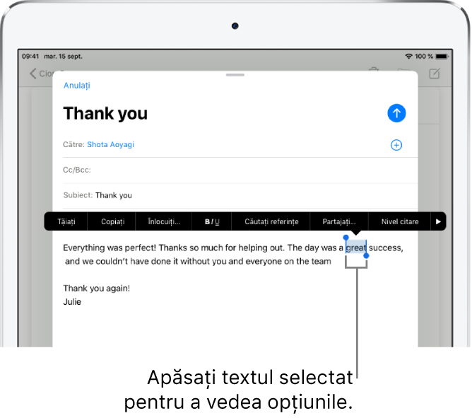 Mesaj de e-mail exemplificativ, cu o porțiune de text selectată. Deasupra selecției se află butoanele Tăiați, Copiați, Lipiți și Înlocuiți. Textul selectat este evidențiat, cu mânere la fiecare extremitate.