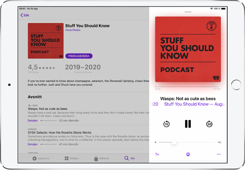 En sida med träffar för en podcastsökning fyller skärmen. Till höger på skärmen spelas en podcast upp och uppspelningsreglagen visas under podcastens omslagsbild.