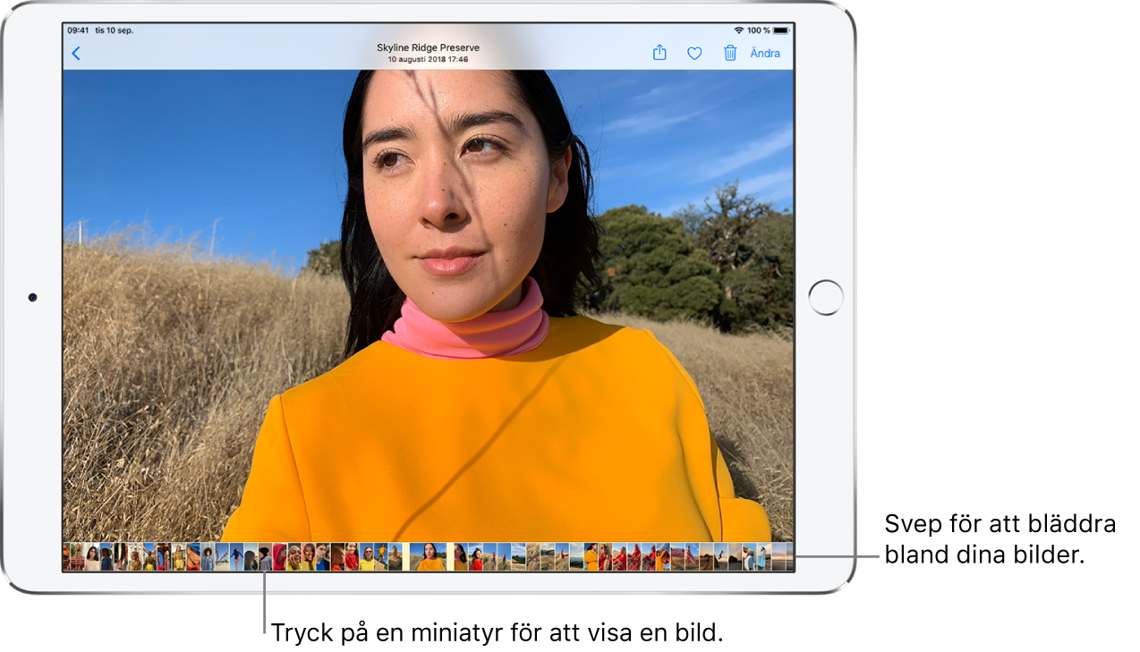 En bild i helskärmsläge med miniatyrer av andra bilder från biblioteket längst ned på skärmen. Uppe till vänster finns tillbakaknappen som du kan trycka på när du vill fortsätta att bläddra. Längs överkanten på höger sida finns knapparna Dela, Gilla, Radera och Ändra.