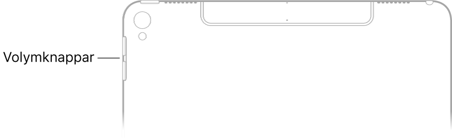 Den övre delen av baksidan på iPad med en beskrivning som pekar mot volymknapparna.