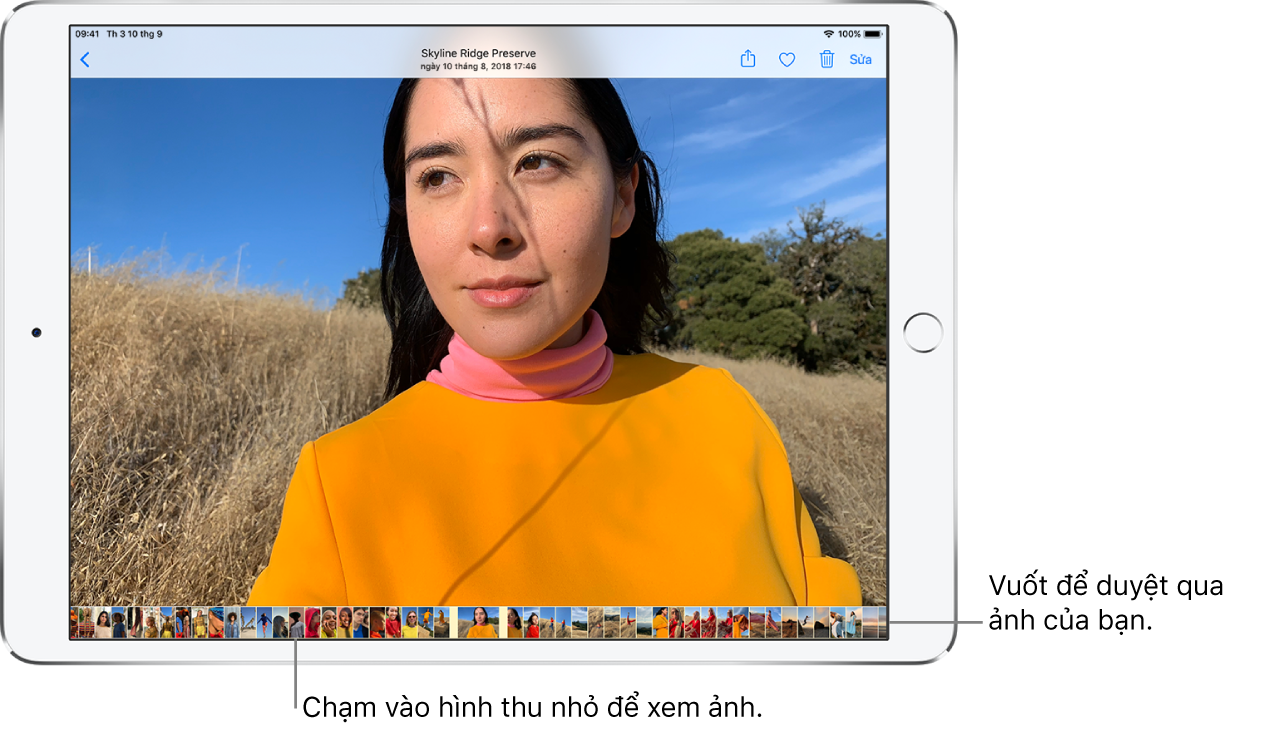 Một ảnh toàn màn hình với hình thu nhỏ của các ảnh khác từ thư viện ở cạnh dưới của màn hình. Ở trên cùng bên trái là nút Quay lại, đưa bạn quay lại màn hình duyệt. Dọc theo trên cùng bên phải là các nút Chia sẻ, Thích, Xóa và Sửa.