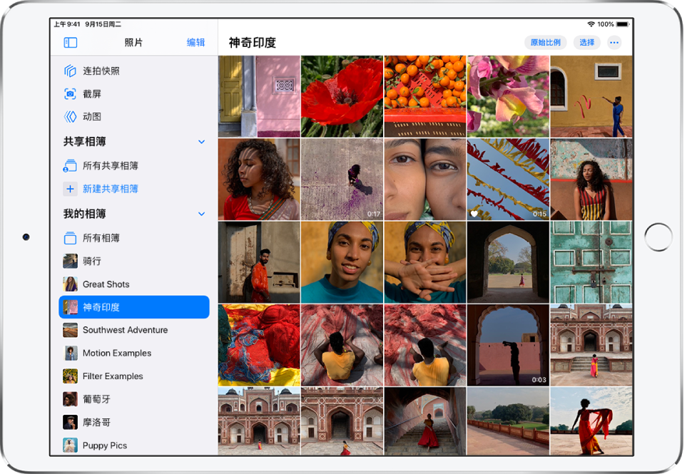 打开的“照片”边栏显示在屏幕左侧。在“我的相簿”标题下方，标题为“神奇印度”的相簿已选中。iPad 屏幕的剩余部分以拼贴的形式显示“神奇印度”相簿中的照片和视频。