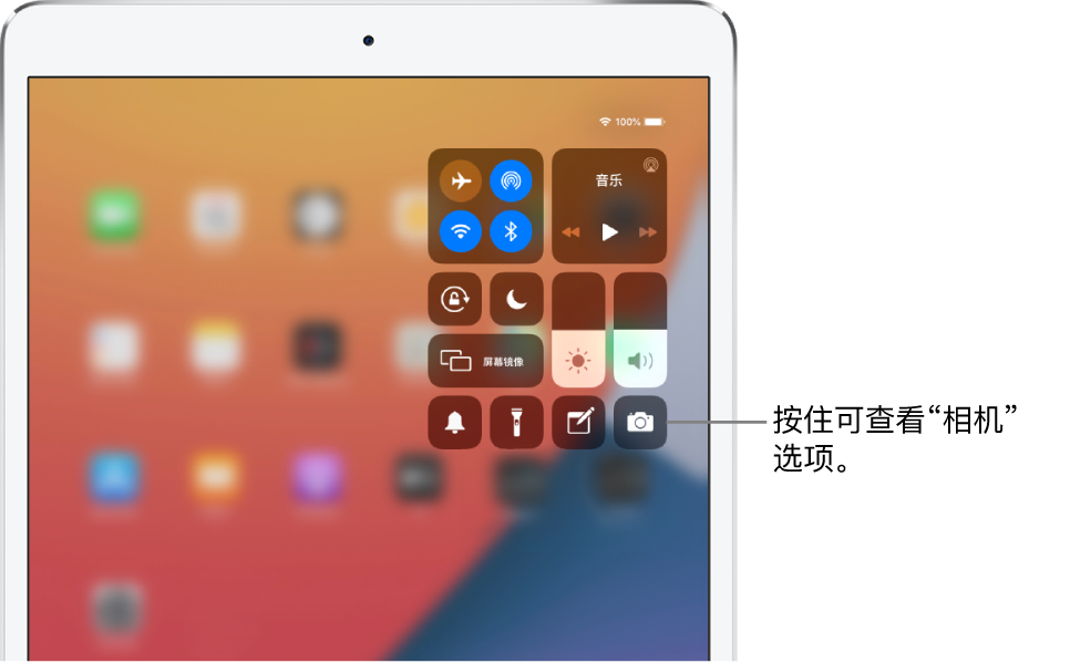 对于无线局域网 + 蜂窝网络 iPad 机型，“控制中心”左上方群组显示飞行模式、蜂窝数据、无线局域网和蓝牙控制。“相机”控制的标注，内容是按住“相机”图标（位于右下方）以查看更多“相机”选项。