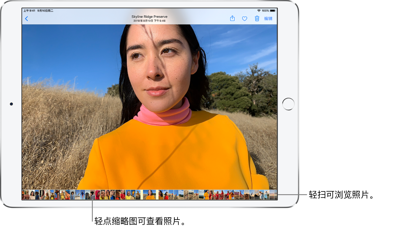 一张全屏显示的照片，屏幕底部一行显示图库中其他照片的缩略图。左上方是“返回”按钮，可带您返回浏览视图。右上方是“共享”、“喜爱”、“删除”和“编辑”按钮。