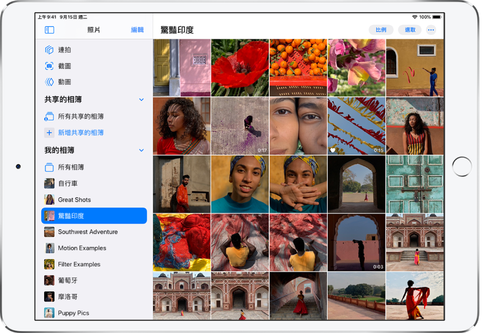 「照片」側邊欄於螢幕左側打開。在「我的相簿」標題下方，已選取名為「驚豔印度」的相簿。iPad 螢幕的其餘部分以照片格顯示了來自「驚豔印度」相簿的照片和影片。