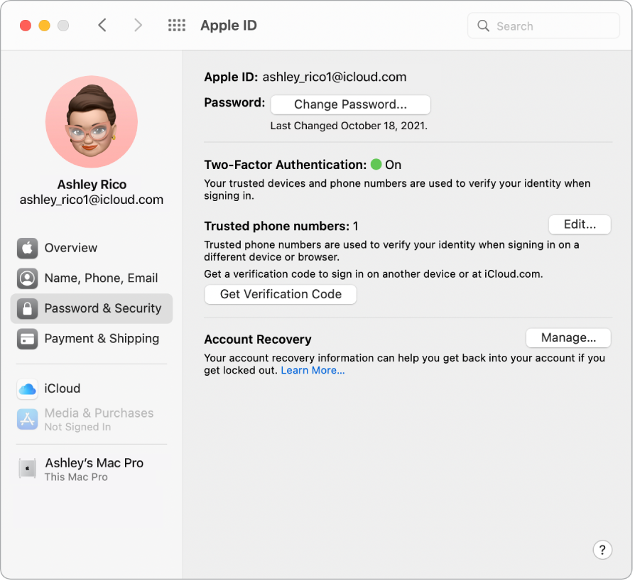Sekce Heslo a zabezpečení pro Apple ID v Předvolbách systému Klikněte na volbu Správa a nastavte obnovení účtu