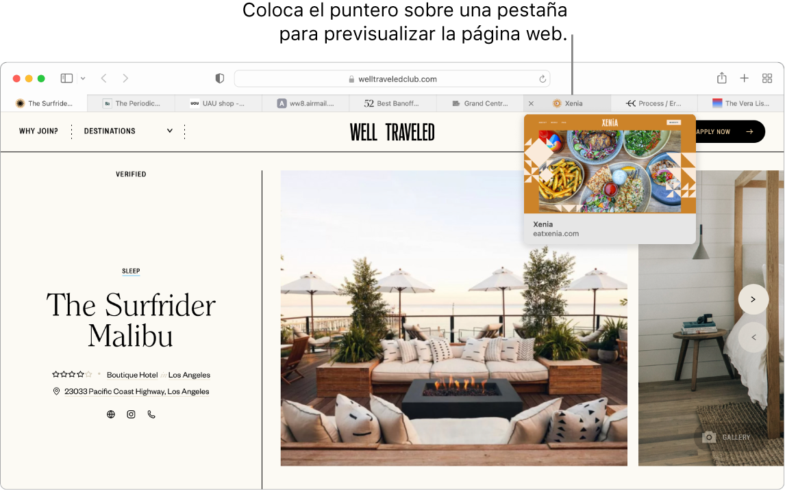 Una ventana de Safari con una página web activa llamada “Well Traveled”, junto con 9 pestañas más y una llamada a una previsualización de la pestaña “Grand Central Market” con el texto “Coloca el cursor sobre una pestaña para ver una previsualización de la página web”.