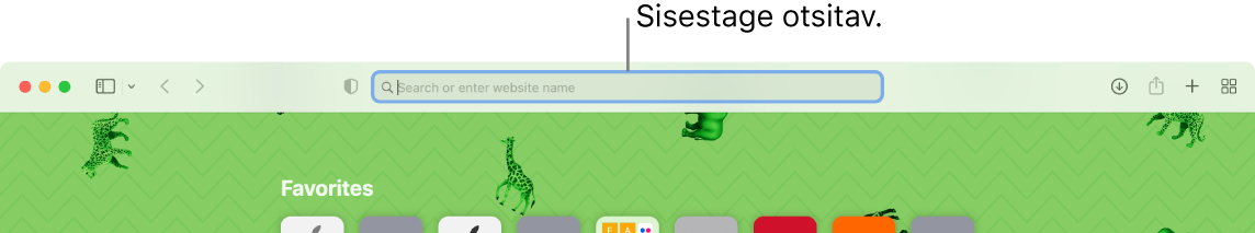 Kärbitud Safari aken väljaviiguga akna ülaservas olevale otsinguväljale.
