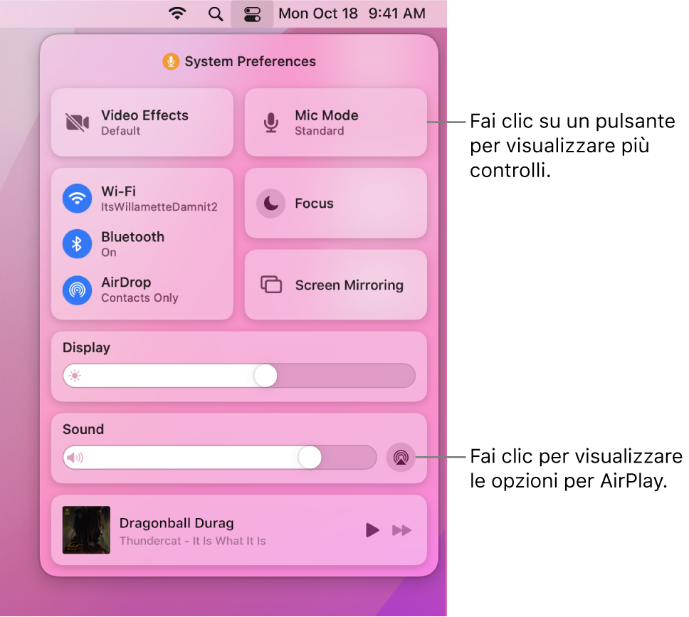 Vista ingrandita di Centro di Controllo sul Mac.