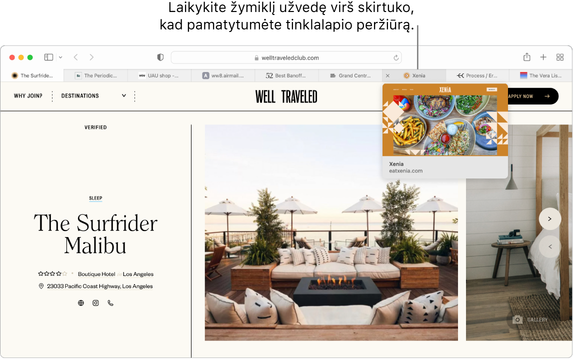 „Safari“ langas su aktyviu tinklalapiu pavadinimu „Well Traveled“, taip pat devyni papildomi skirtukai ir išnaša į kortelės „Grand Central Market“ peržiūrą su tekstu „Hold the pointer over a tab to see a preview of the webpage“ (laikykite žymeklį virš kortelės, kad matytumėte tinklalapio peržiūrą).