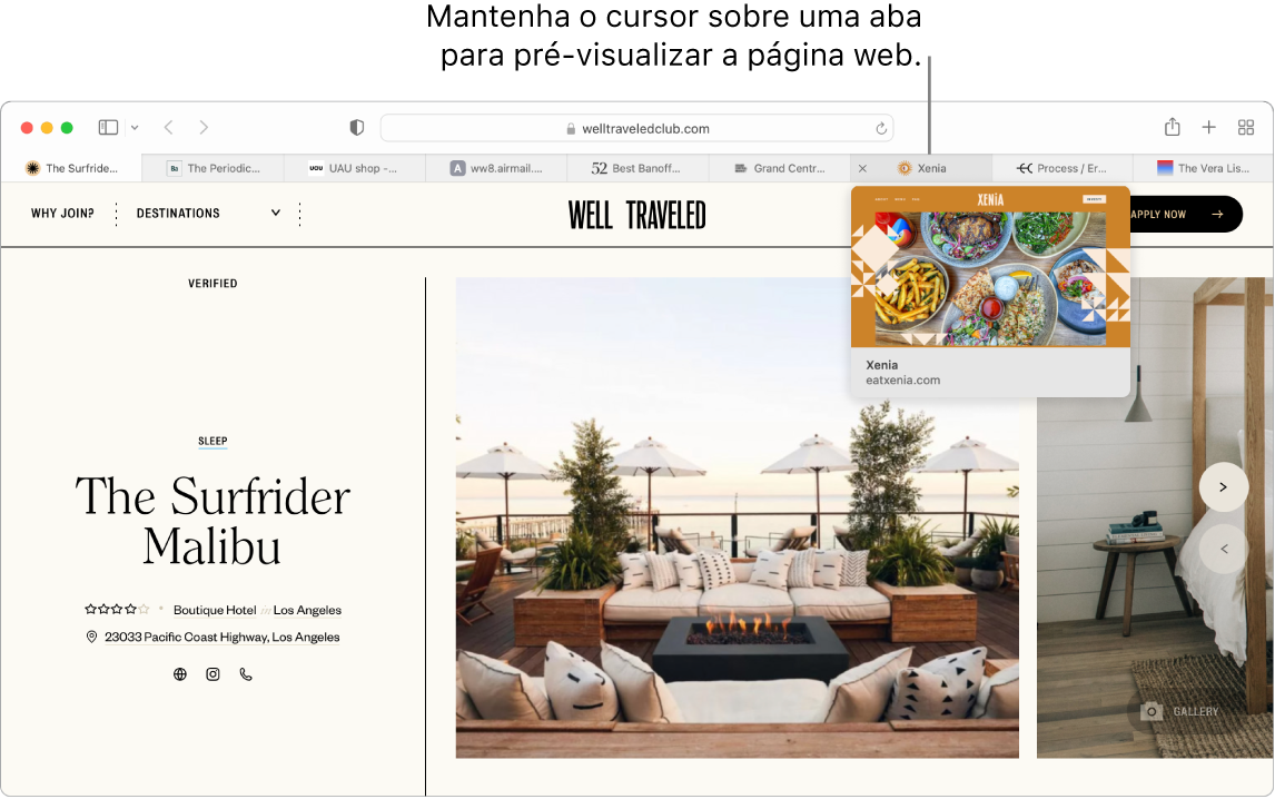 Janela do Safari com uma página web ativa, chamada “Well Traveled”, além de 9 abas adicionais e uma chamada para uma pré-visualização da aba “Grand Central Market” com o texto “Mantenha o cursor sobre uma aba para pré-visualizar a página web”.