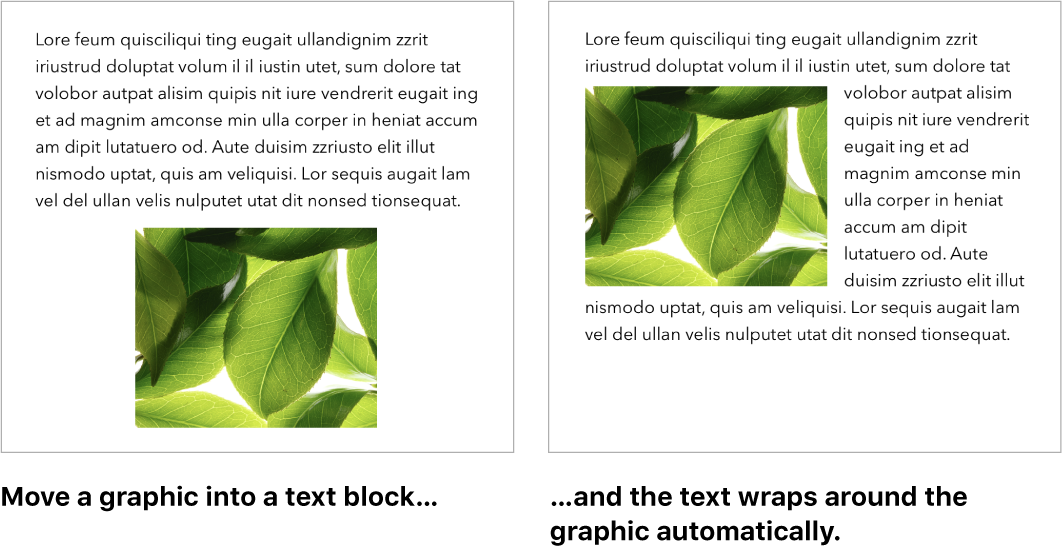 A Pages window showing how text wraps around graphics.