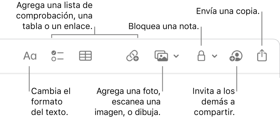 La barra de herramientas de Notas con texto indicando las herramientas de formato del texto, lista de comprobación, tabla, enlace, fotos/medios, bloqueo, compartir y enviar una copia.