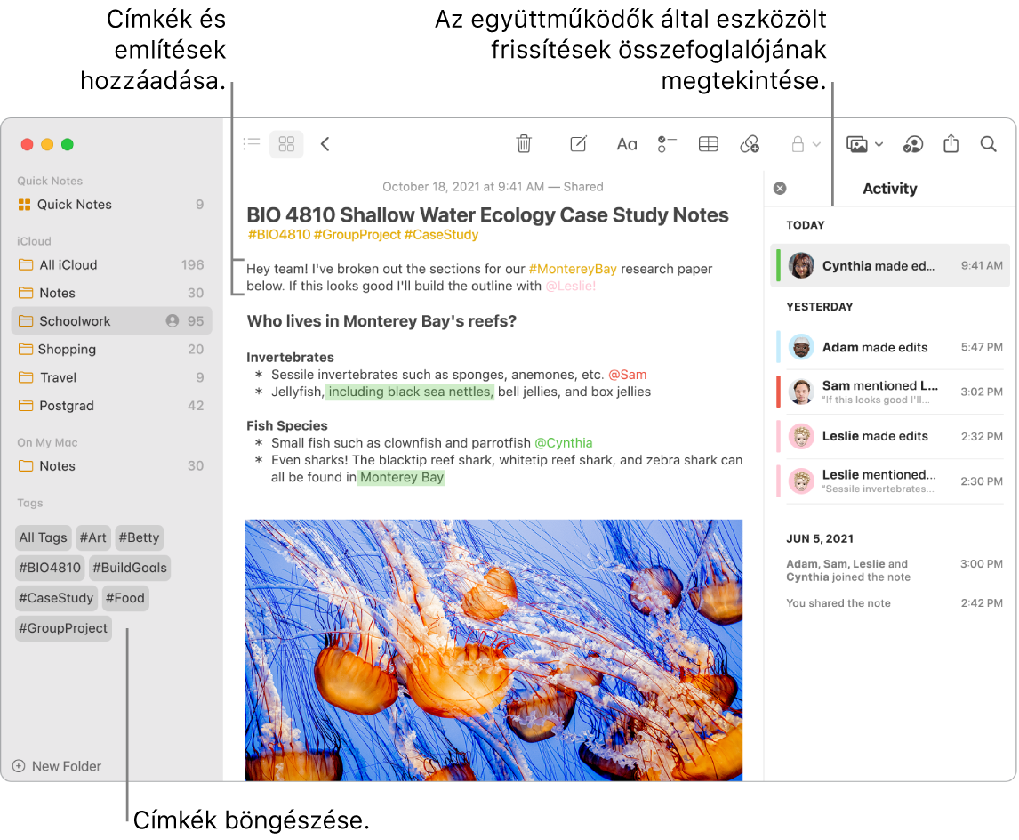 A Jegyzetek ablaka Galéria nézetben, címkék ábrafelirataival az oldalsávon. A fő jegyzetben egy címke ábrafelirata és egy említés látható. A jobb oldalon egy aktivitási lista és a frissítések összesítésének megtekintésére irányuló ábrafelirat található.