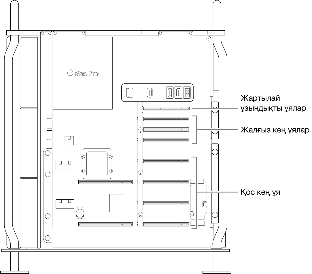 Төрт екілік кең ұяның, үш бірлік кең ұяның және жартылай ұзындықты ұяның орналасқан жерін көрсететін тілше деректері бар ашық Mac Pro компьютерінің бүйірі.