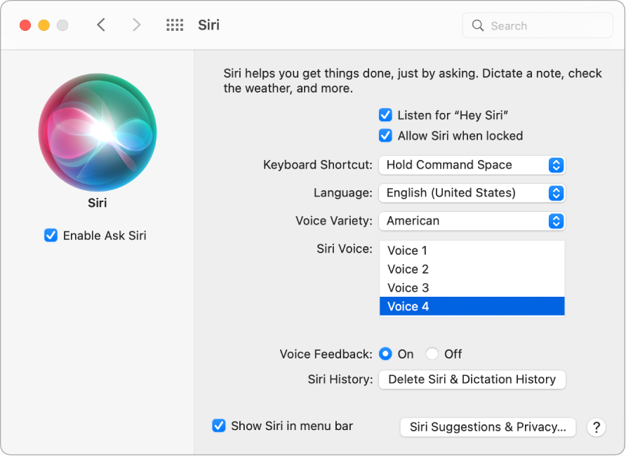 A janela de preferências de Siri com a opção “Ativar Perguntar a Siri’” assinalada à esquerda e várias opções para personalizar Siri à direita, incluindo “Ativar através de Hey Siri”.