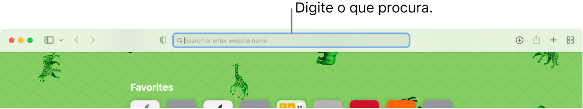 Uma janela recortada do Safari com uma chamada para o campo de pesquisa na parte superior da janela.