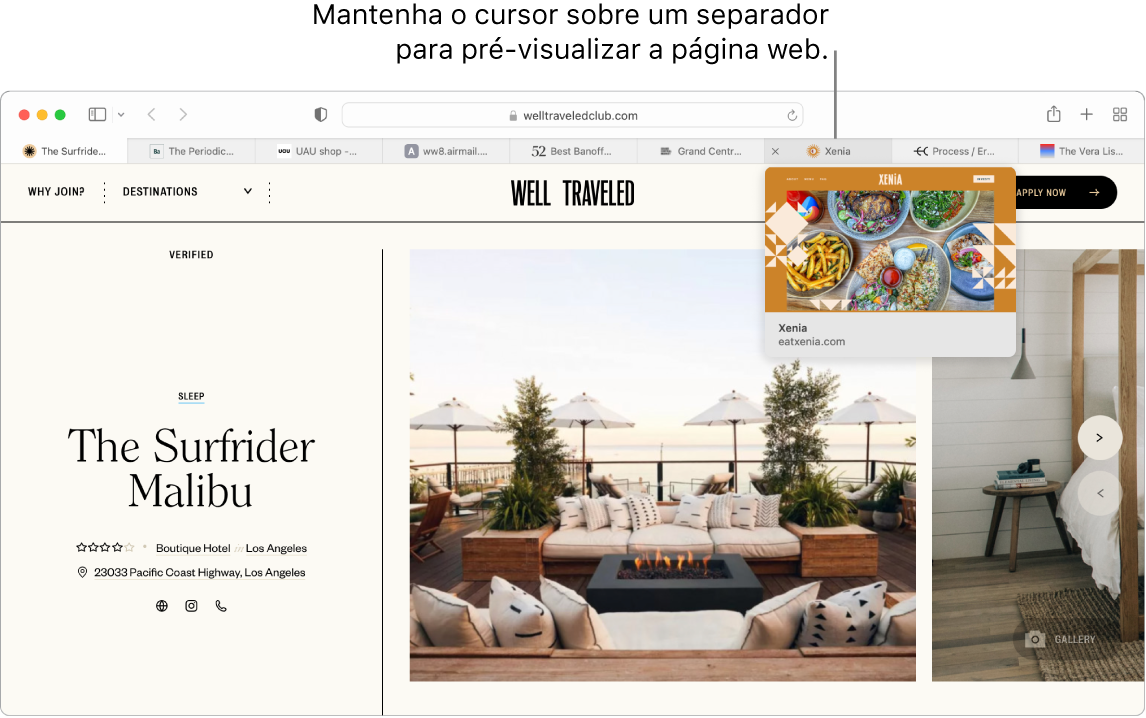 Uma janela do Safari com uma página web ativa denominada “Well Traveled”, juntamente com 9 separadores adicionais e uma chamada para uma pré-visualização do separador “Grand Central Market” com o texto “Coloque o cursor sobre um separador para uma pré‑visualização da página web”.