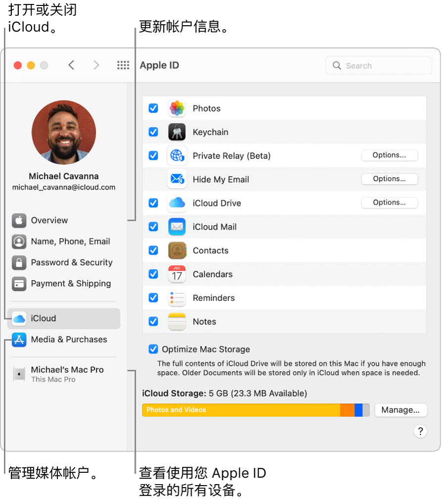 “系统偏好设置”的“Apple ID”面板。点按边栏中的一项以更新帐户信息，打开或关闭 iCloud，管理媒体帐户，以及查看使用您 Apple ID 登录的所有设备。