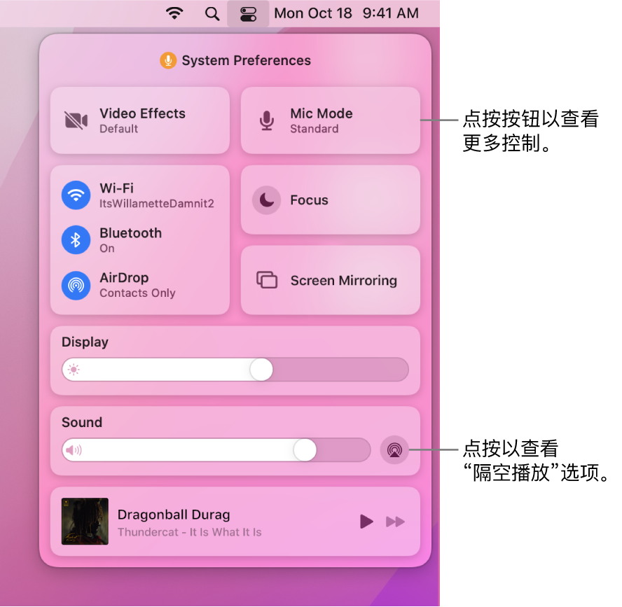 Mac 上“控制中心”的放大视图。