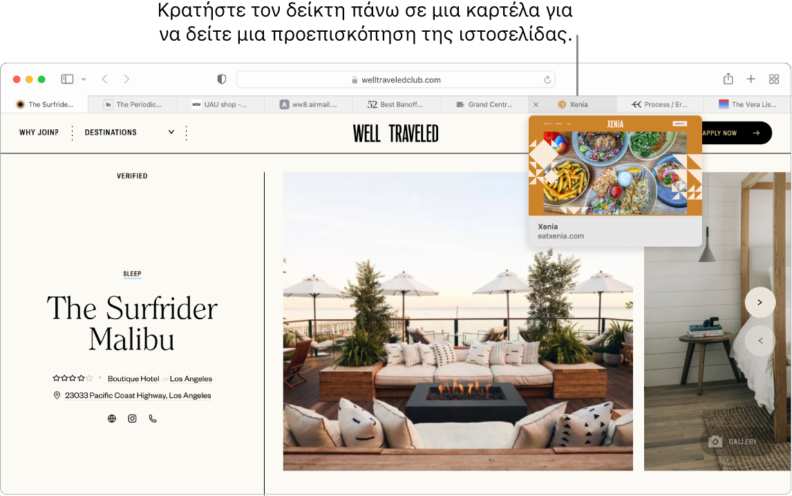 Ένα παράθυρο του Safari με μια ενεργή ιστοσελίδα που ονομάζεται «Well Traveled», μαζί με 9 επιπλέον καρτέλες, και μια επεξήγηση για μια προεπισκόπηση της καρτέλας «Grand Central Market» με το κείμενο «Hold the pointer over a tab to see a preview of the webpage».