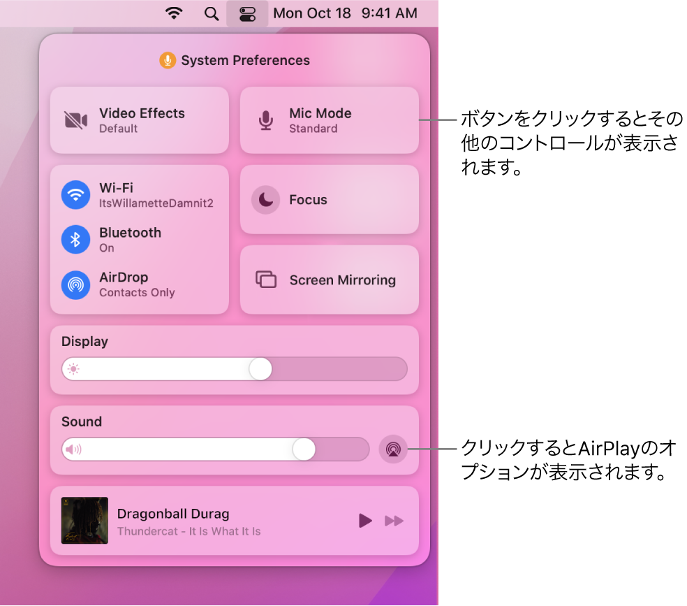 Macのコントロールセンターの拡大表示。