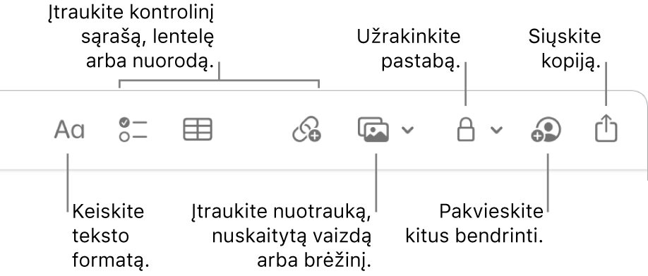 „Notes“ įrankių juosta su išnašomis į teksto formatavimo, kontrolinio sąrašo, lentelės, nuorodos, nuotraukų / turinio, užrakinimo, bendrinimo ir kopijos siuntimo priemones.