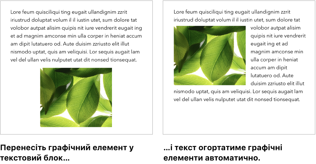 Вікно програми Pages, у якому показано, як текст обтікає зображення.