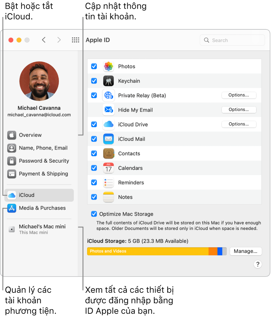 Khung ID Apple trong Tùy chọn hệ thống. Bấm vào một mục trong thanh bên để cập nhật thông tin tài khoản của bạn, bật hoặc tắt iCloud, quản lý các tài khoản phương tiện và xem tất cả các thiết bị được đăng nhập bằng ID Apple của bạn.