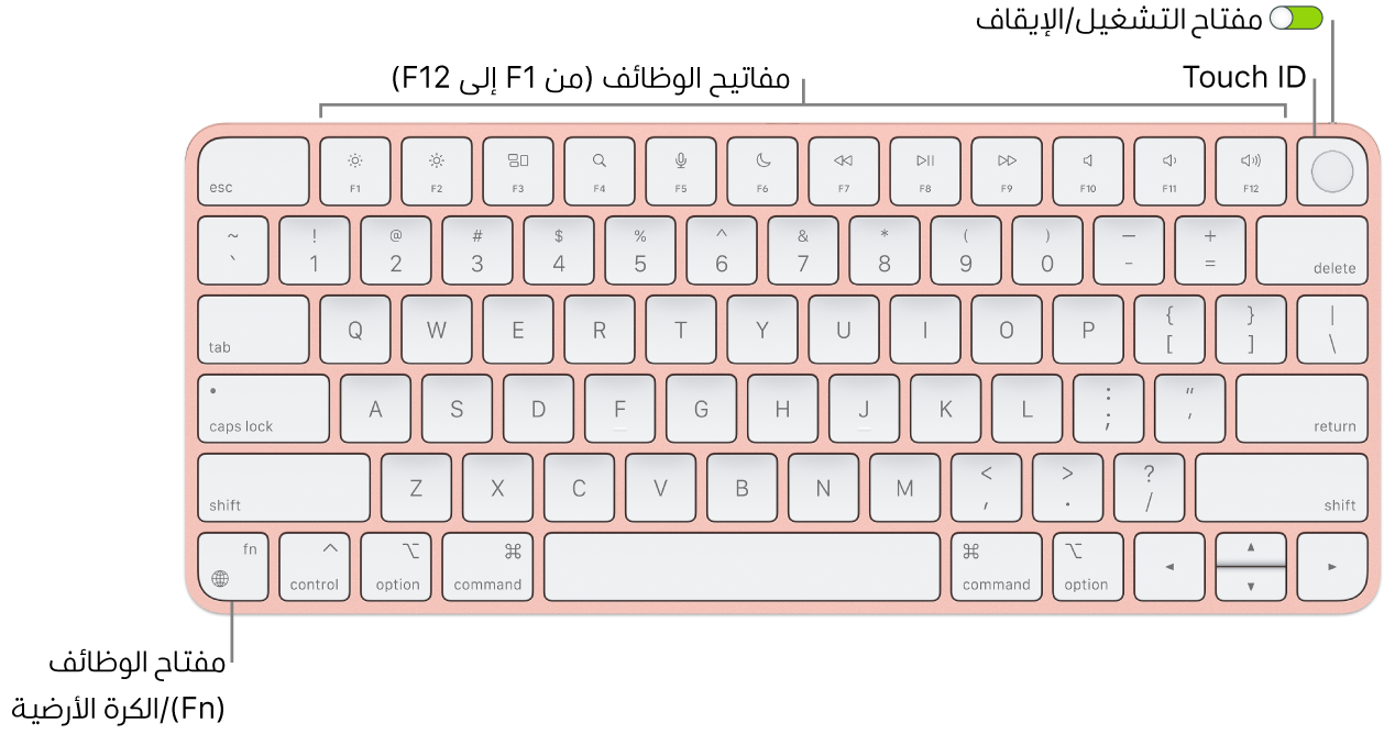 لوحة مفاتيح Magic Keyboard المزودة بـ Touch ID يظهر بها صف مفاتيح الوظائف و Touch ID على امتداد الجزء العلوي، ومفتاح الوظائف (Fn)/الكرة الأرضية في الزاوية السفلية اليسرى منها.