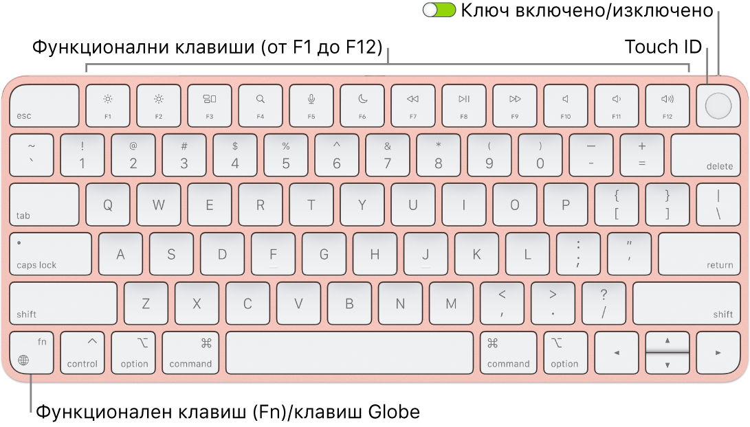 Клавиатурата Magic Keyboard с Touch ID, която показва редицата с функционални клавиши, Touch ID в горния край и клавиша Function (Fn)/Globe в долния ляв ъгъл.