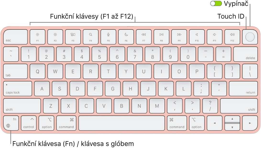 Klávesnice Magic Keyboard s Touch ID, na které je vidět řada funkčních kláves a snímač Touch ID u horního okraje a funkční klávesa Fn / klávesa s glóbem v levém dolním rohu
