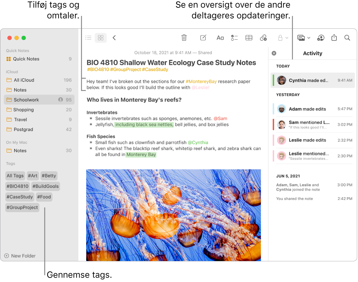 Vinduet Noter i gallerioversigt med en billedforklaring til mærker i indholdsoversigten. I hovednoten er der en billedforklaring til et mærke og en omtale. Til højre er der en aktivitetsliste med en billedforklaring til en oversigt over opdateringerne.