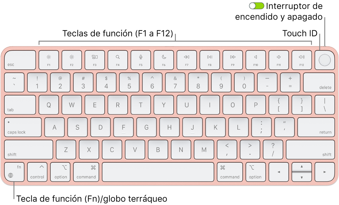 El Magic Keyboard con Touch ID mostrando la fila de teclas de función con el sensor Touch ID en la parte superior y la tecla de función (Fn)/globo terráqueo en la esquina inferior izquierda.