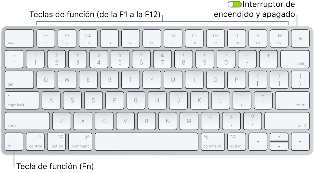 Magic Keyboard iMac - Soporte de Apple (ES)