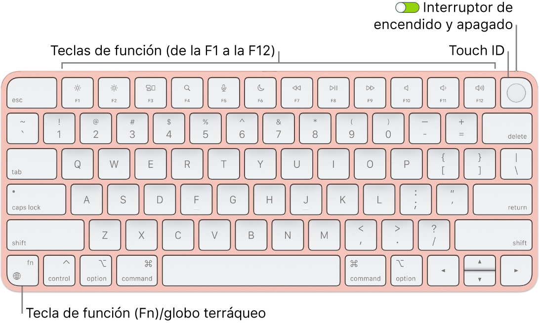 Magic Keyboard con Touch ID, con la fila de teclas de función y Touch ID en la parte superior, y la tecla del globo terráqueo o función (Fn) en la esquina inferior izquierda.