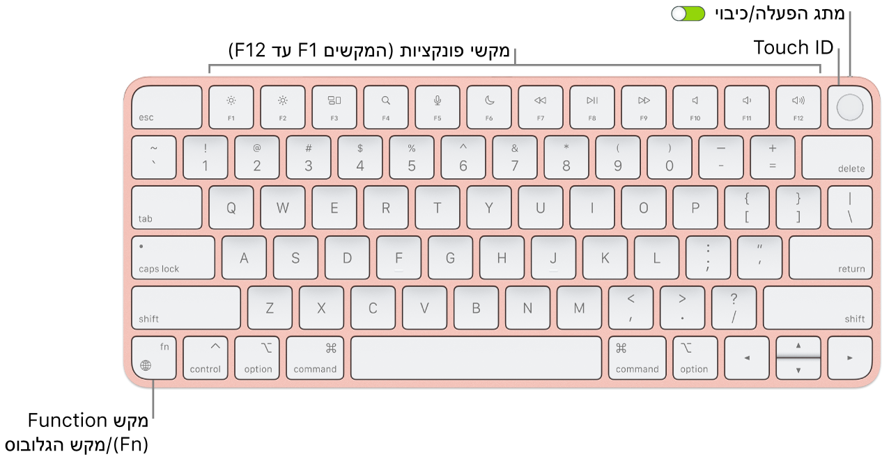 ה-Magic Keyboard עם ה-Touch ID מציגה את שורת מקשי הפונקציה וה-Touch ID לאורך החלק העליון, ואת מקש הפונקציה (Fn)/גלובוס משמאל למטה.