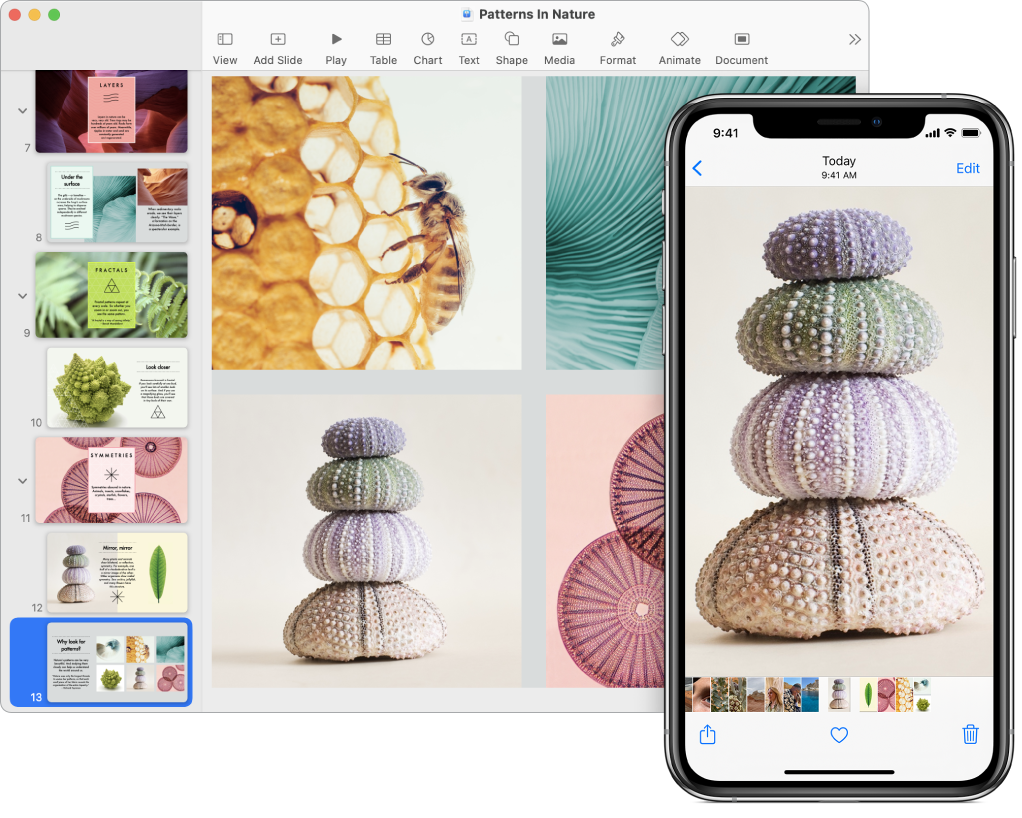 Egy iPhone, amelynek képernyőjén egy fotó látható, mellette pedig egy Mac gép, amelyen egy fotó látható, miután beillesztették egy Pages-dokumentumba.