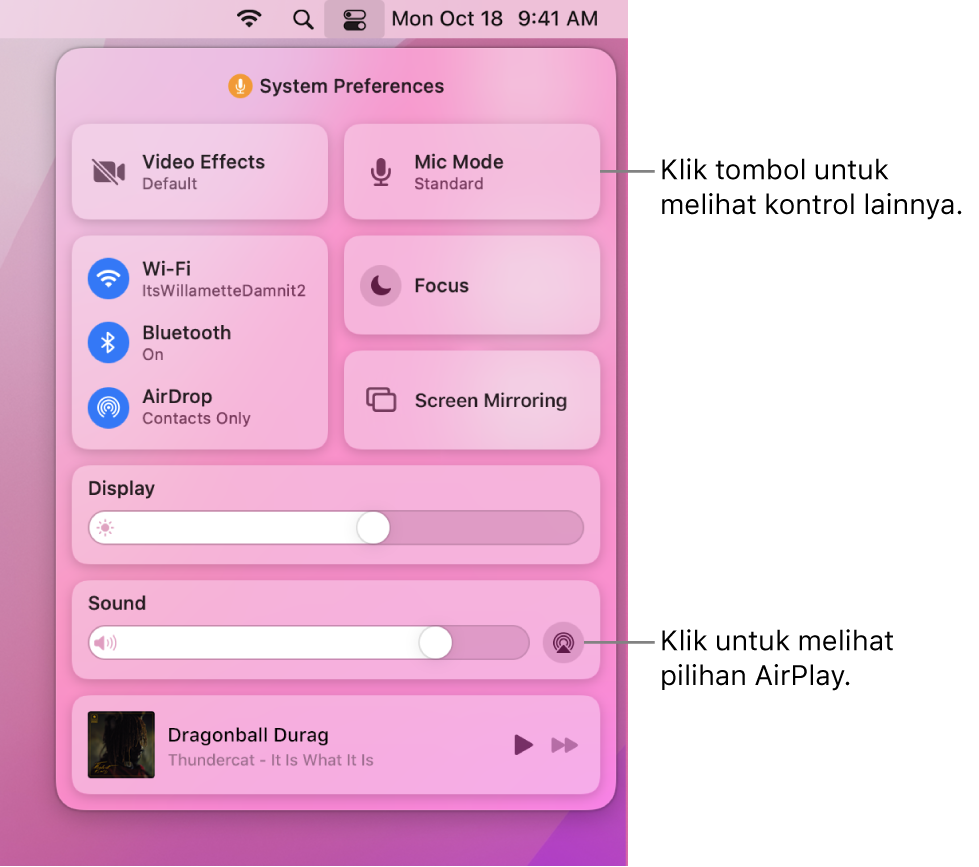 Tampilan Pusat Kontrol yang diperbesar di Mac Anda.