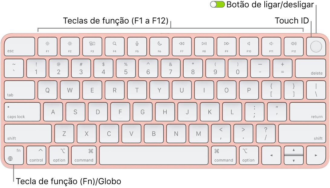 Teclado Magic Keyboard com Touch ID a mostrar a linha de teclas de função e Touch ID na parte superior, e a tecla de função (Fn)/Globo no canto inferior esquerdo.