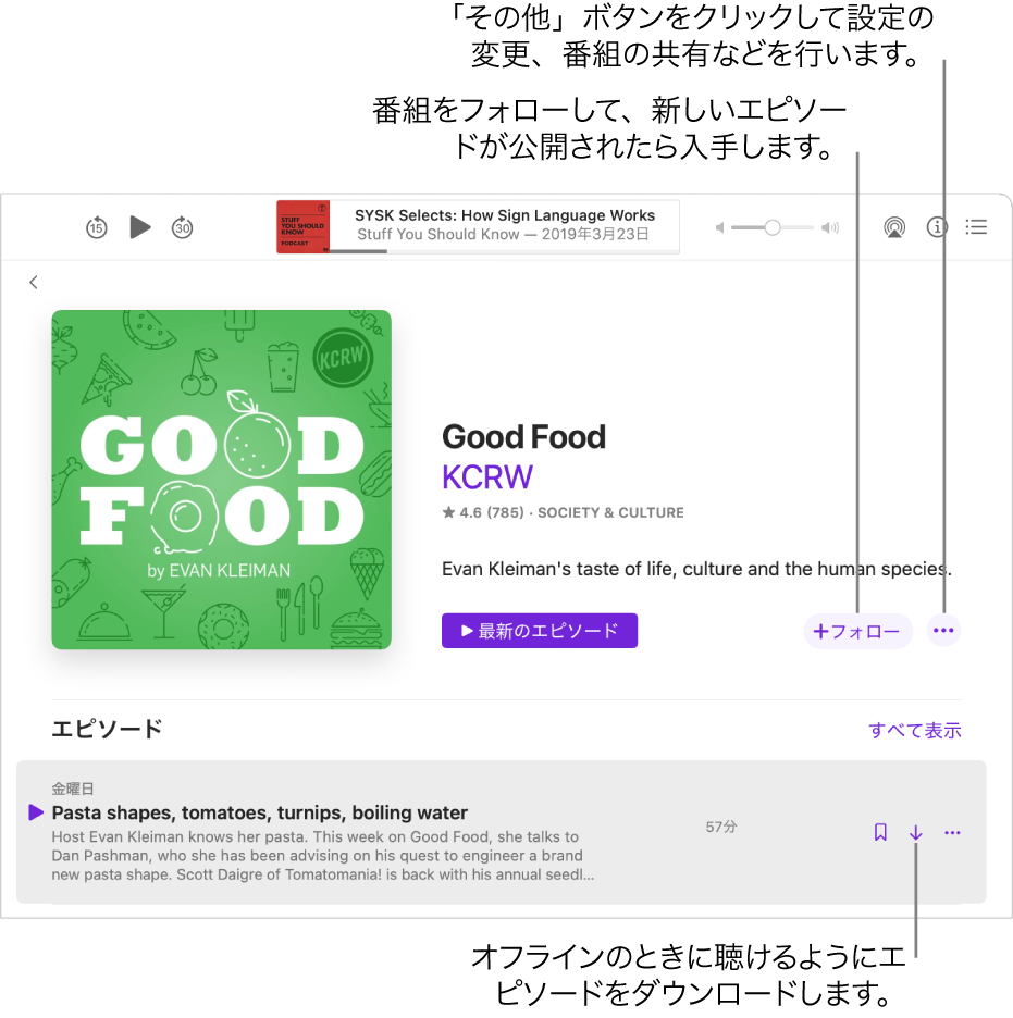 番組の詳細画面。「フォロー」をクリックすると、新しいエピソードが公開されたときに入手できます。「その他」ボタンをクリックすると、設定を変更したり番組を共有したりできます。インターネットに接続していないときに聴きたい場合は、エピソードをダウンロードします。
