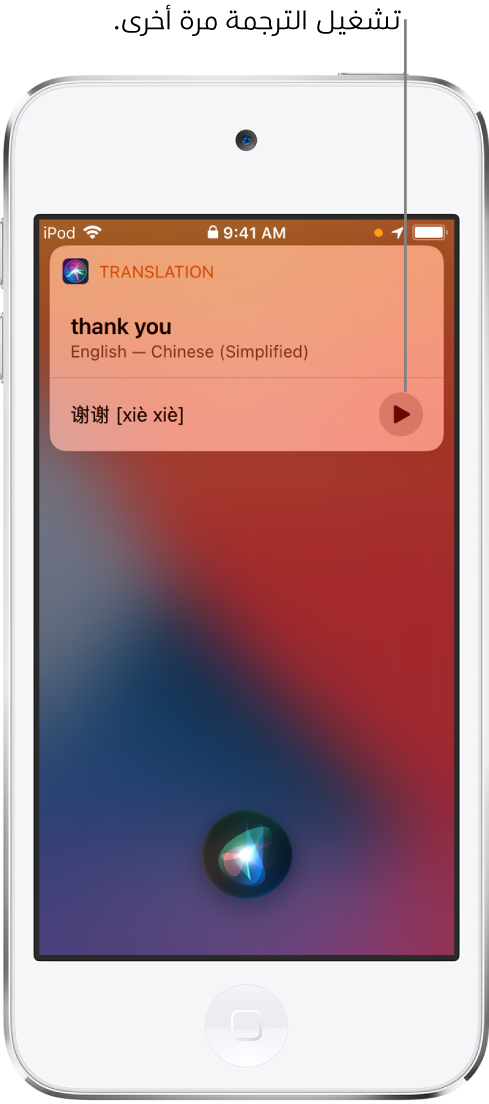 يعرض Siri ترجمة العبارة العربية "شكرًا لك" بالإنجليزية. يوجد زر على يسار الترجمة يعيد تشغيل صوت الترجمة.