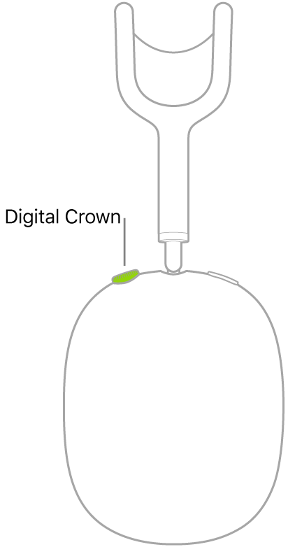 Ilustrace ukazující umístění korunky Digital Crown na pravém sluchátku AirPodů Max