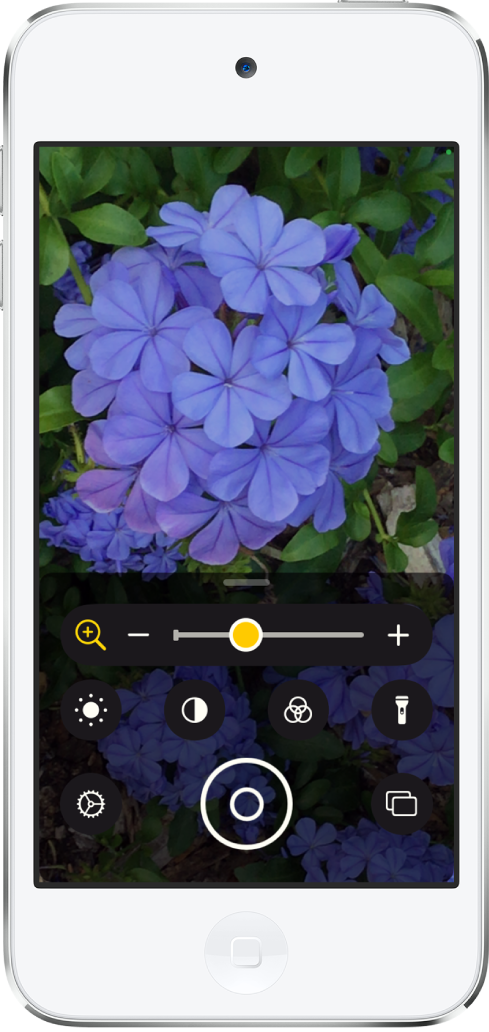 Skærmen Forstørrelsesglas, der viser et nærbillede af en blomst.