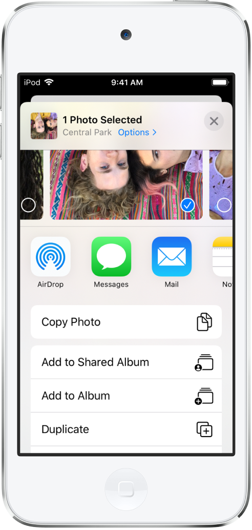 The Photos share screen. The selected photo is at the top of the screen. Below the photo are share options. Below the share options is a list of actions, from top to bottom: Copy Photo, Add to Shared Album, Add to Album, and Duplicate.