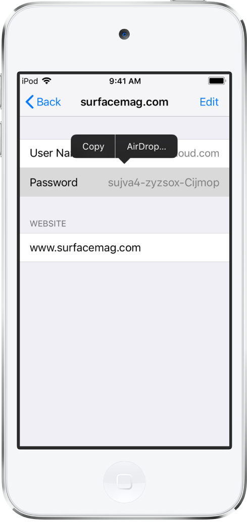The account screen for a website. The password section is selected, and a menu containing the items Copy and AirDrop appears above it.