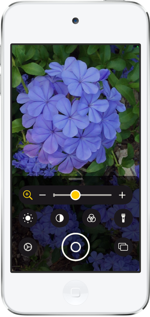 L’écran de la loupe affichant une fleur en gros plan.